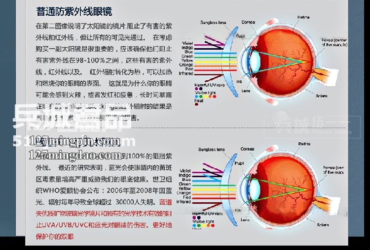 美国Randolph蓝道夫 兰道夫 空军飞行员眼镜/太阳镜 方版金色直臂