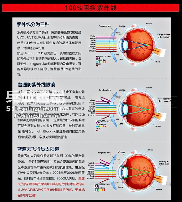 正品美国 Randolph兰道夫/蓝道夫/新款 太阳眼镜 弯臂PC镜偏光镜