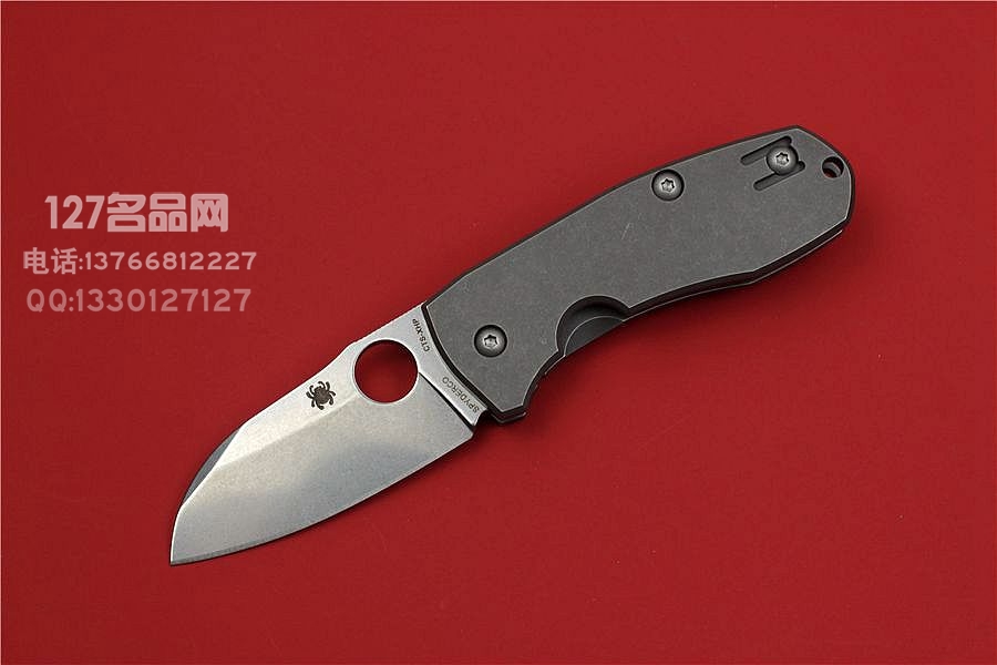 SPYDERCO 美国蜘蛛 C158TIP Techno  滚磨处理钛柄石洗