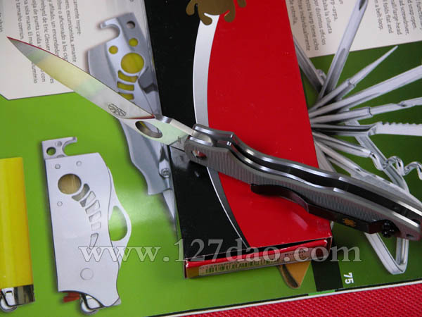 美国蜘蛛SPYDERCO  125GPFG  127名刀网